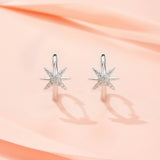 新款S925纯银耳钉时尚轻奢风小众设计耳饰品耳环女